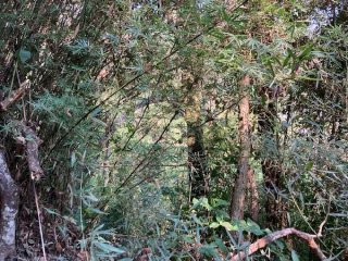 Imagem do imóvel TE82966