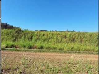 Imagem do imóvel TE51430