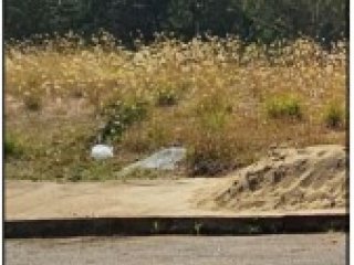 Imagem do imóvel TE05355