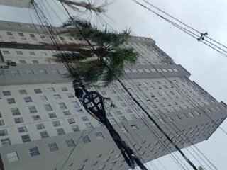 Imagem do imóvel AP67647