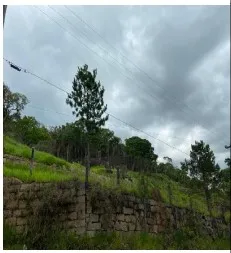 Imagem do imóvel TE04252