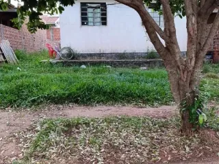 Imagem do imóvel CA87597