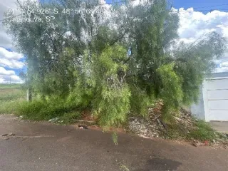 Imagem do imóvel TE67706